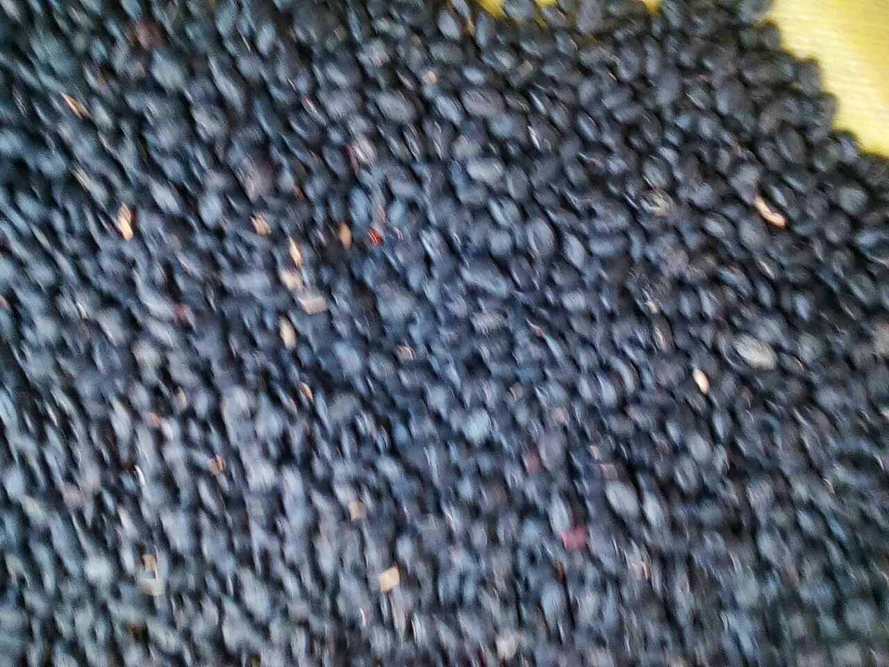 展示黑豆的主要营养成分数据图表 黑豆营养成分表