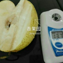 酥梨100~150g纸袋