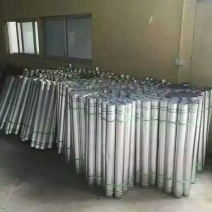 狮头鹅苗250g以上