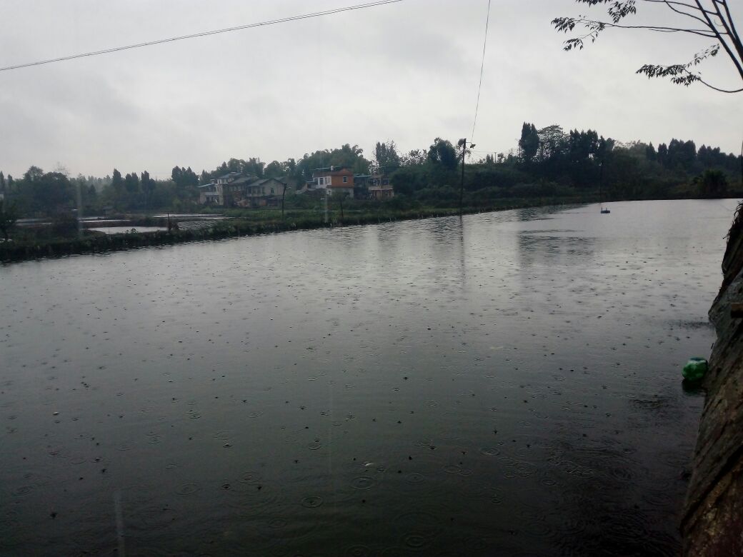 鱼塘周边设置隔离带防止农药流入