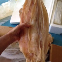 鱿鱼干