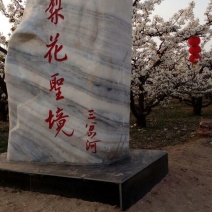 鸭梨纸箱