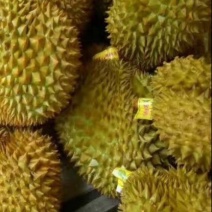榴莲