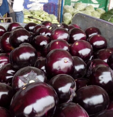 茄子4两以上精品紫光圆茄