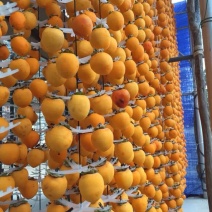 柿饼1~2两