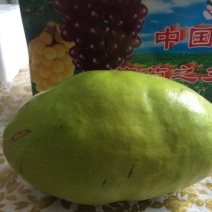 宣木瓜