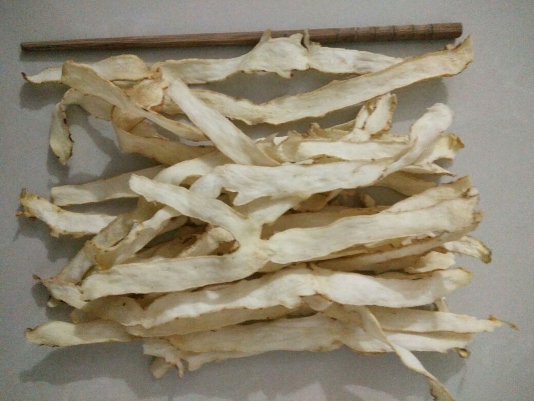 一幅信息图展示六种常见中医体质(湿热、阴虚、气虚、阳虚、痰湿、正常),每种体质下方标注是否推荐食用山竹,并配有简笔人物形象和对应症状关键词,背景为淡蓝色中国传统纹样 中医体质辨识图表示意不同体质对山竹的适应性