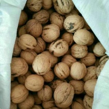 香玲核桃25mm以下去皮干