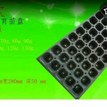 穴盘72孔