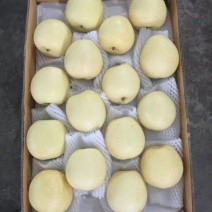 皇冠梨550~600g纸箱