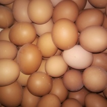 普通鸡蛋食用50~60g