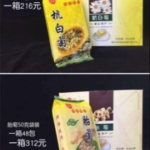 杭州白菊