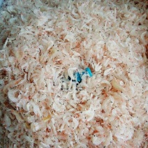 虾皮特级