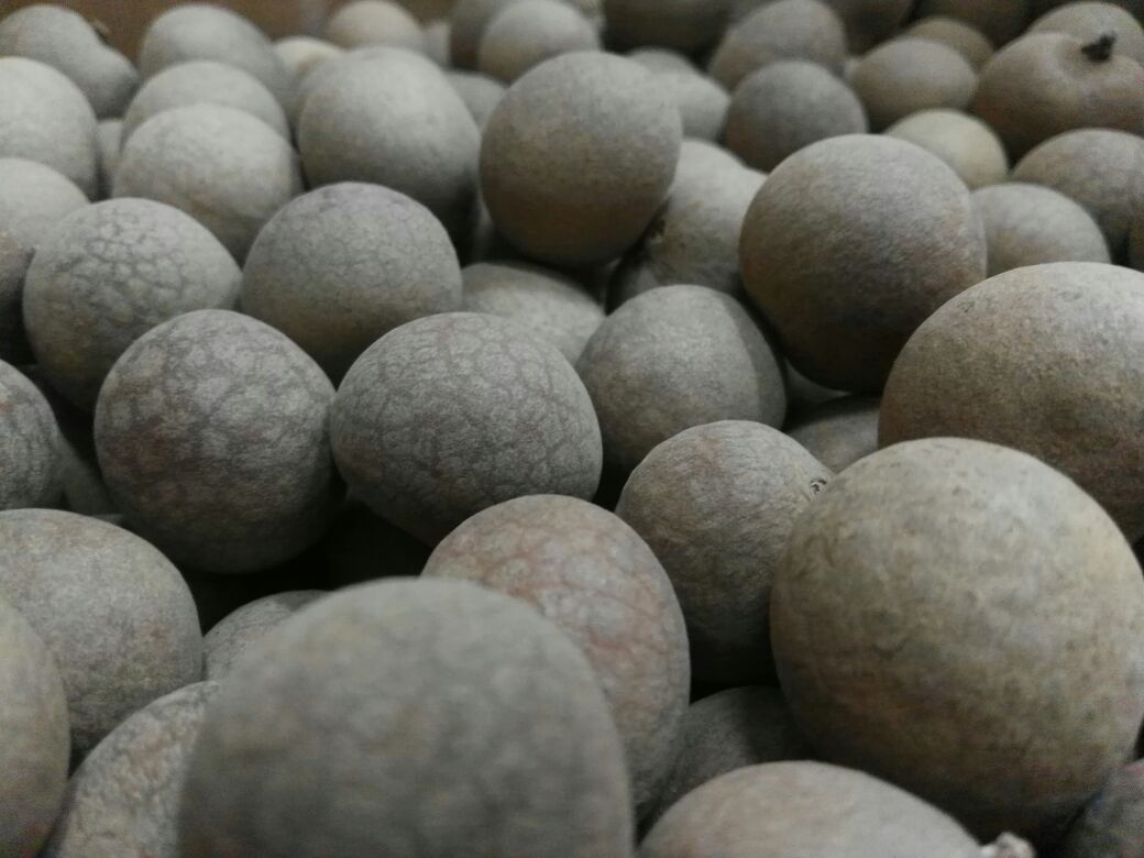 桂圆与红枣营养对比图