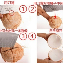 高种椰子2~2.5斤