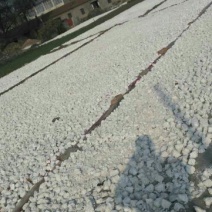 红薯粉面颗粒