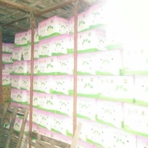 皇冠梨250~300g筐装