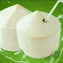 高种椰子3~4斤