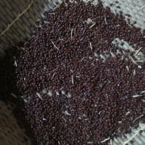 红小豆散装