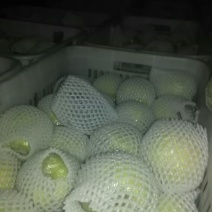 鸭梨300~350g筐装