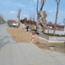 生姜