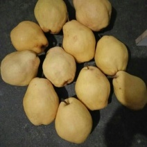 香蕉梨300~350g纸袋