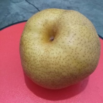 晚秋黄梨500~550g纸袋