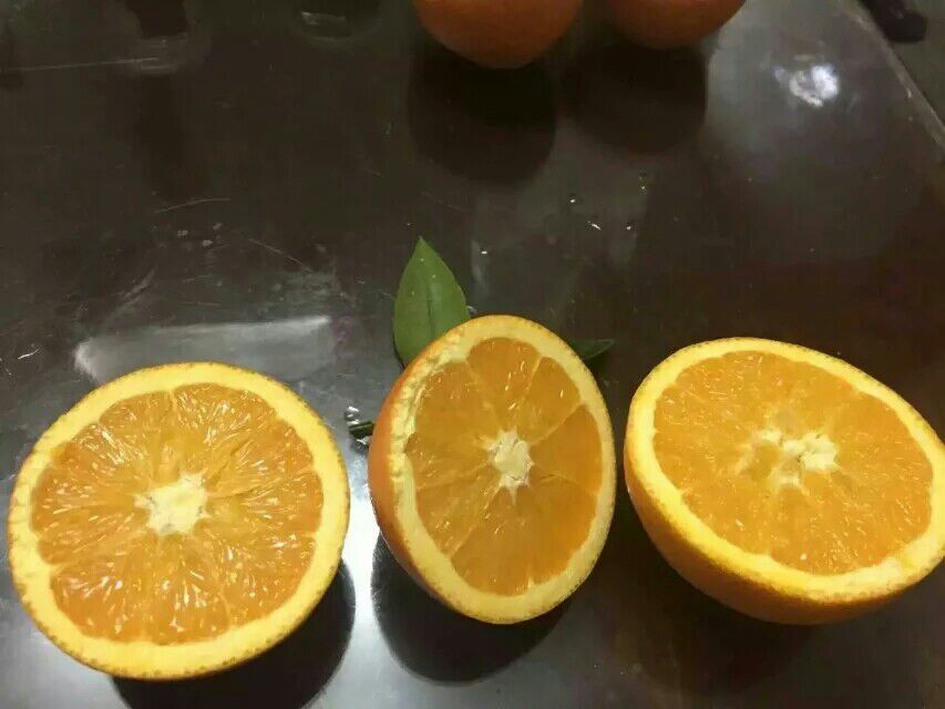 新鲜脐橙与紫丹参品种胡萝卜切块特写,橙子横切面可见清晰囊瓣与晶莹汁液,胡萝卜纵切面呈现致密橙色木质部与淡黄色髓心,体现两类农产品典型形态特征 橙子与胡萝卜切块并列摆放于木质砧板上,橙子果肉饱满多汁呈橙红色,胡萝卜表皮光滑呈深橘红色,两者旁置玻璃榨汁杯与不锈钢榨汁机,背景虚化突出食材新鲜质感
