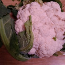 白花菜散装