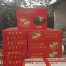 砀山梨300~350g纸箱