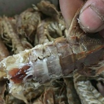 虾皮一级
