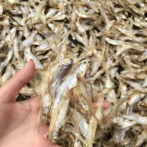 鱼干日晒鱼干