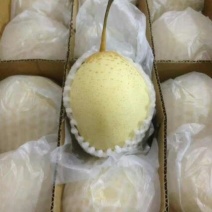 鸭梨200~250g纸箱