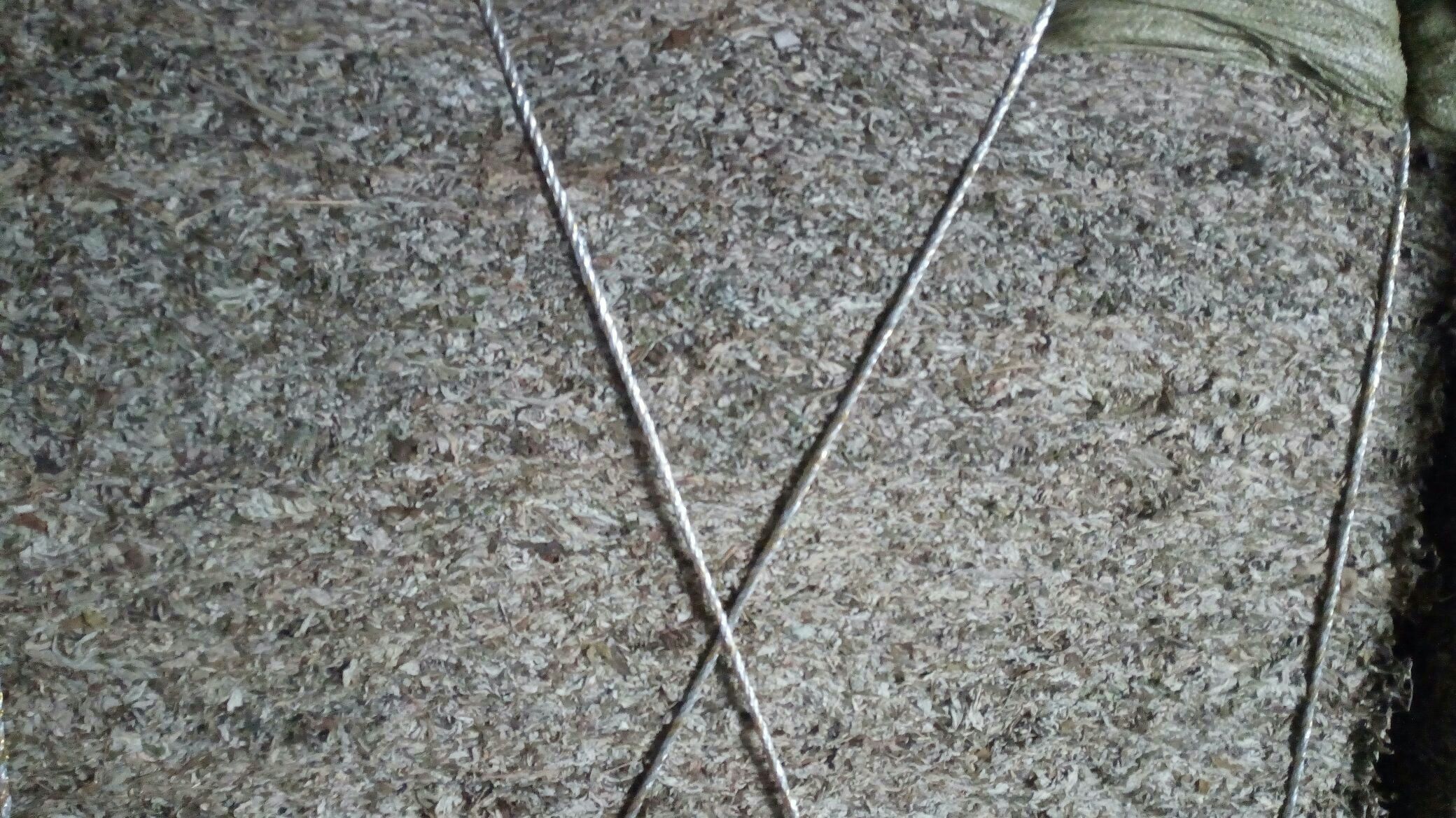 白芷与艾叶搭配泡澡图示