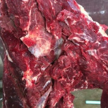 驴肉