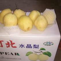 雪花梨350~400g纸袋