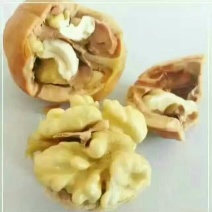 核桃30mm以上去皮干