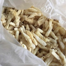 干竹荪一级