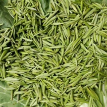 川茶特级