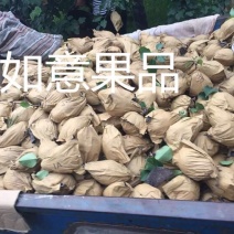 皇冠梨