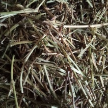 花生糠粗糠