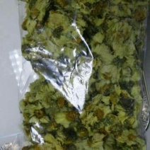 杭州白菊袋装
