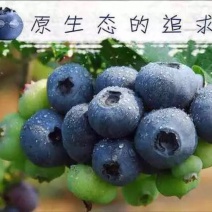 蓝莓