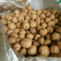 薄皮核桃30mm以上去皮