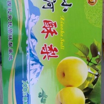 酥梨400~450g纸袋