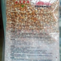 登海618玉米种子95%