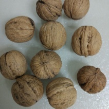 脱皮核桃25mm以下去皮干
