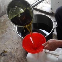菜油
