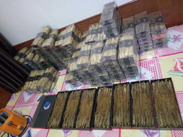 人参产品包装与检测证书展示图