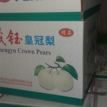 皇冠梨250~300g纸箱